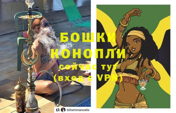 крисы Богородицк