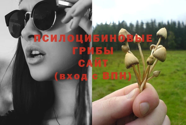 мдпв Богданович