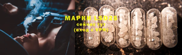 мдпв Богданович