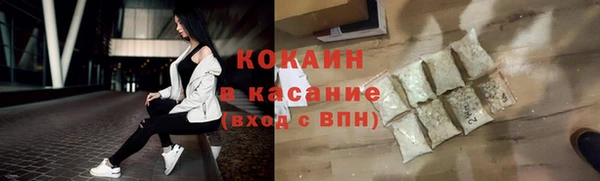 крисы Богородицк