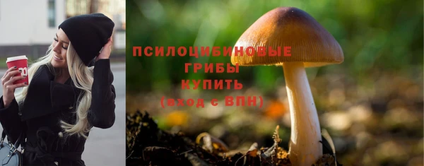 ALPHA PVP Богородск