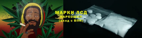 крисы Богородицк
