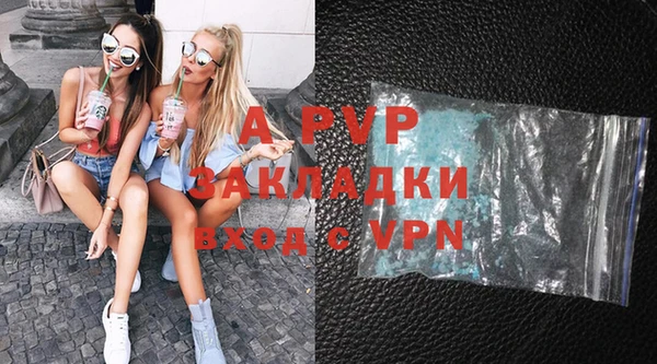 крисы Богородицк