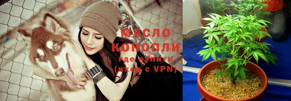 крисы Богородицк