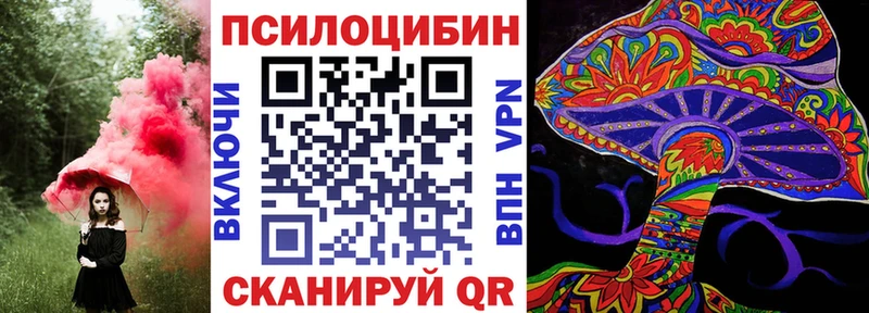 Купить закладки  Приволжск  Псилоцибиновые грибы Magic Shrooms 
